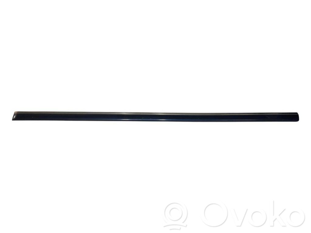 Priekšpusē durvju dekoratīvā apdare (moldings)