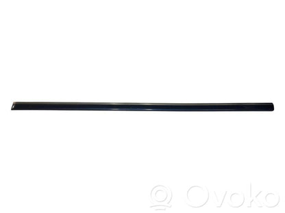 Priekšpusē durvju dekoratīvā apdare (moldings)