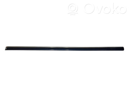 Priekšpusē durvju dekoratīvā apdare (moldings)