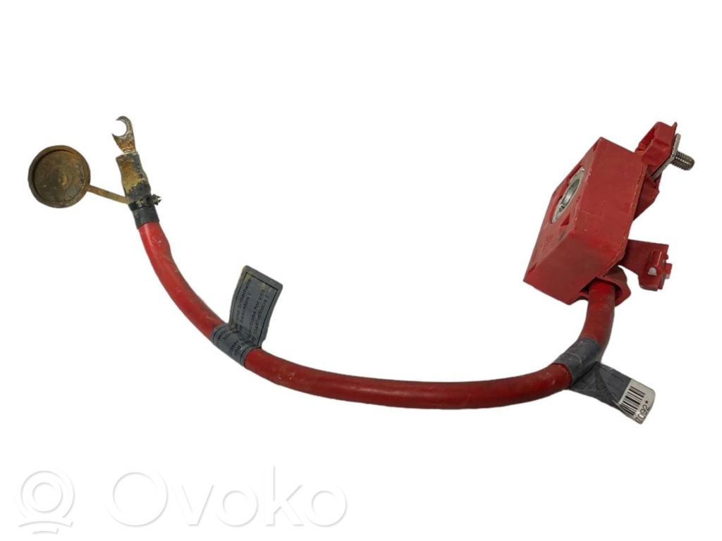 Plusa vads (akumulatora)