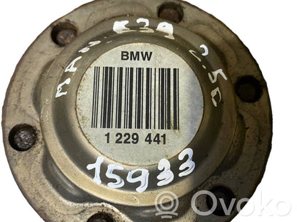 Aizmugurējā pusass