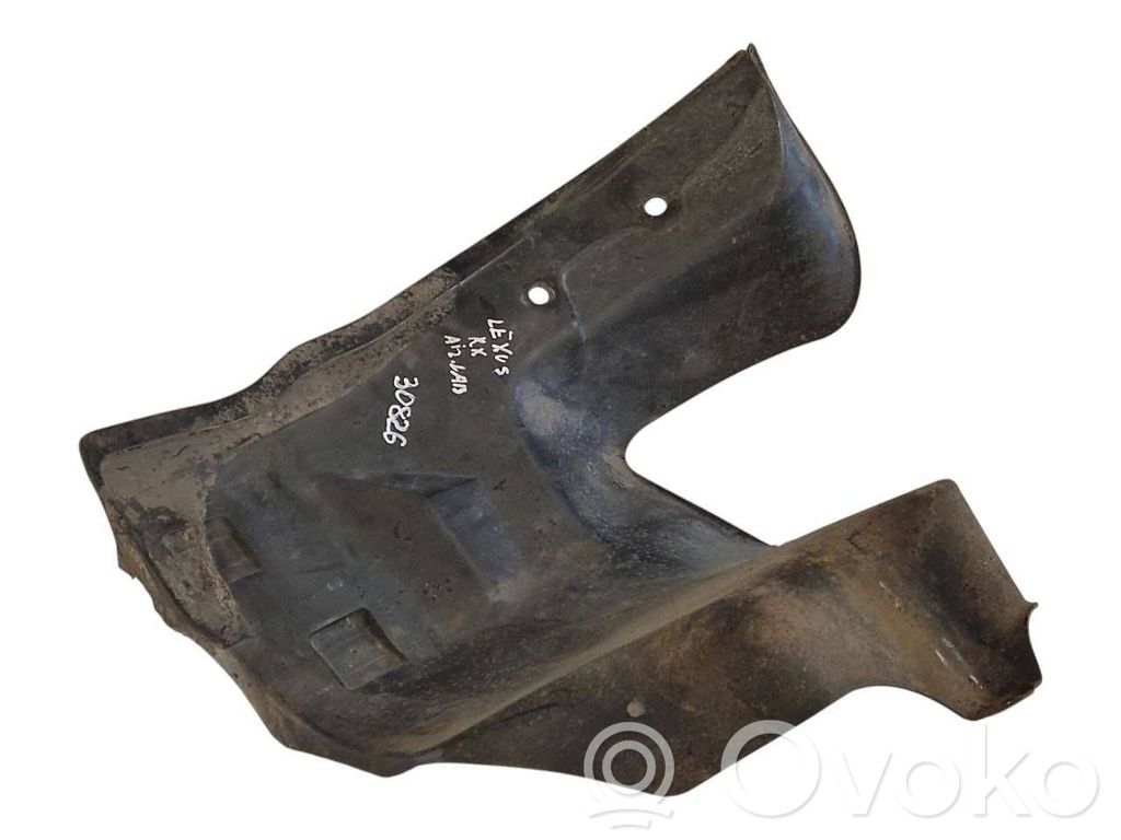 Aizmugurējais apakšspārns