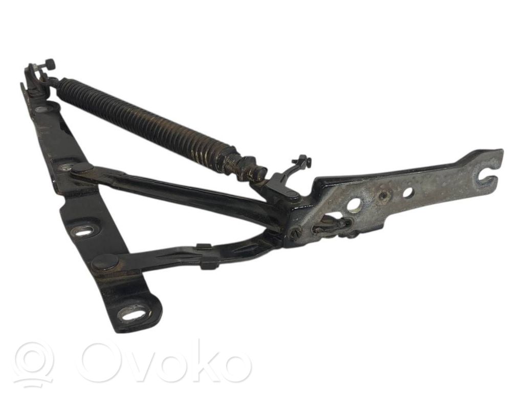 Aizmugurējā pārsega eņģe (-ess)