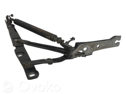 Aizmugurējā pārsega eņģe (-ess)