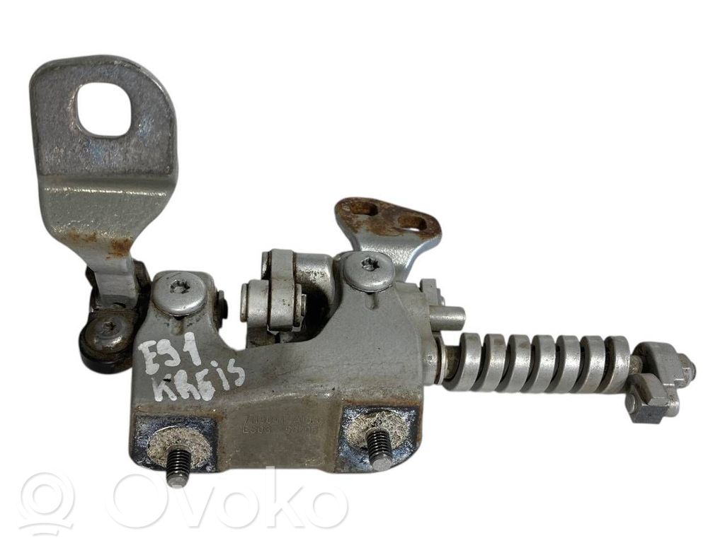 Aizmugurējā pārsega eņģe (-ess)