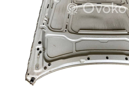 Dzinēja pārsegs (vāks)