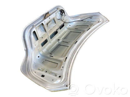 Aizmugurējais pārsegs (bagāžnieks)