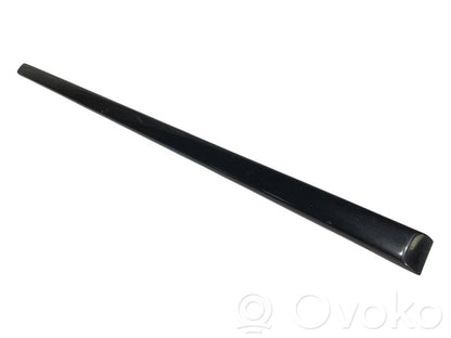 Front door decorative trim (molding)