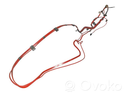 Plusa vads (akumulatora)