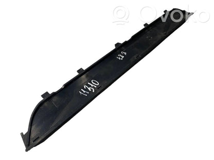 Front sill trim (inner)