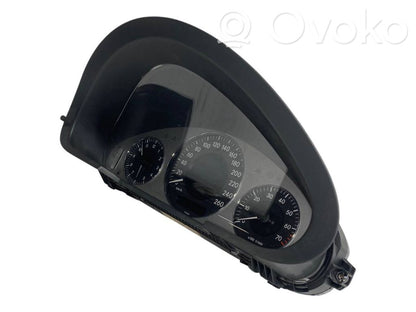 Speedometer (in the instrument panel)