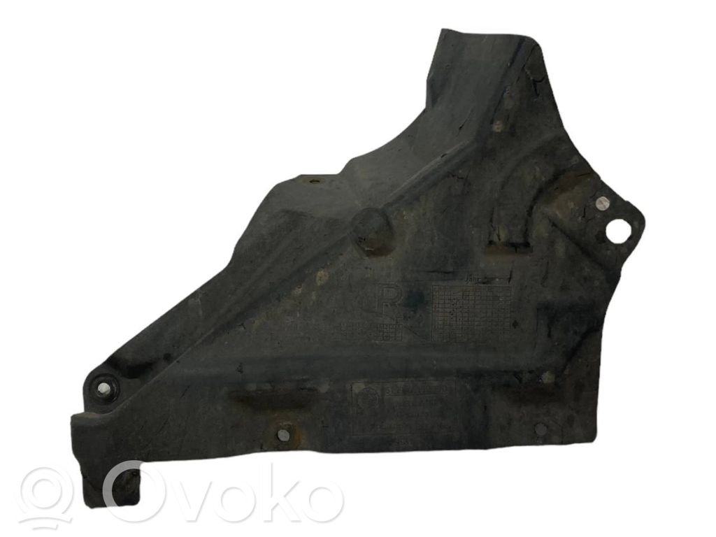 Under engine guard (front)