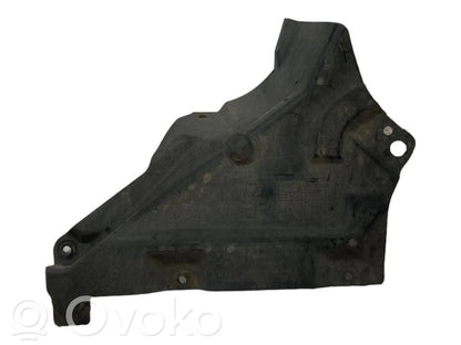 Under engine guard (front)