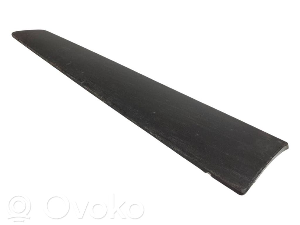 Priekšpusē durvju dekoratīvā apdare (moldings)