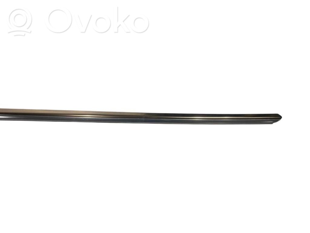 Aizmugurē durvju dekoratīvā apdare (moldings)