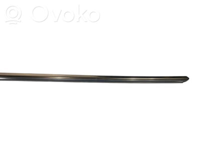 Aizmugurē durvju dekoratīvā apdare (moldings)