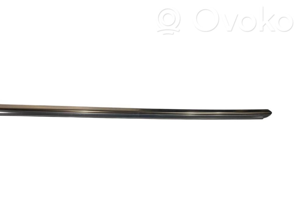 Aizmugurē durvju dekoratīvā apdare (moldings)