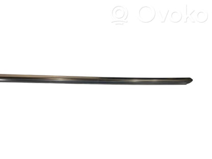Aizmugurē durvju dekoratīvā apdare (moldings)
