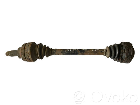 Aizmugurējā pusass