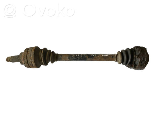 Aizmugurējā pusass