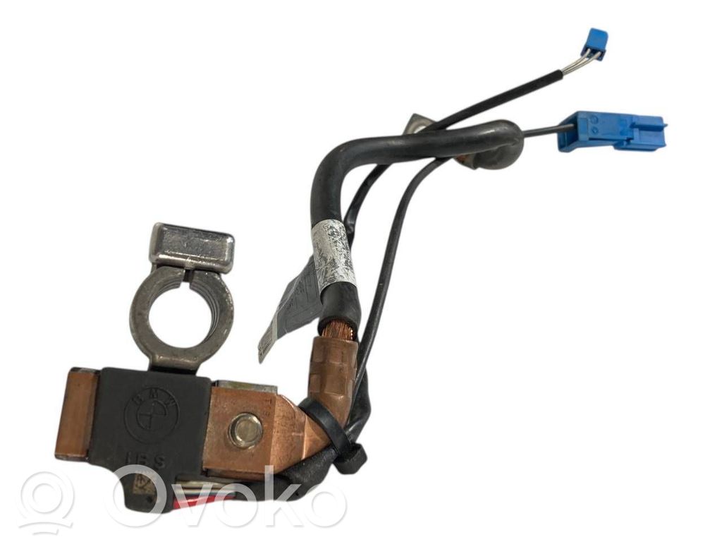 Mīnusa vads (akumulatora)