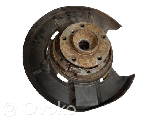 Rear wheel hub shaft joint (stupica, capfa)