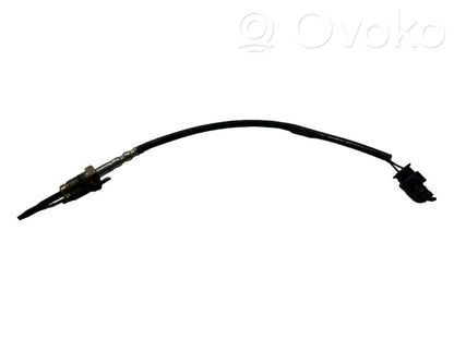 Izplūdes gāzu temperatūras sensors