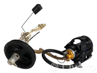 Fuel pump (in the fuel tank)