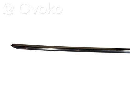 Aizmugurē durvju dekoratīvā apdare (moldings)