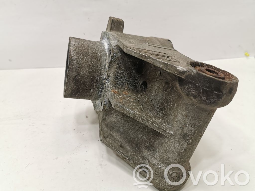 Aizmugurē riteņa rumbas vārpstas šarnīrs (stupica, capfa)