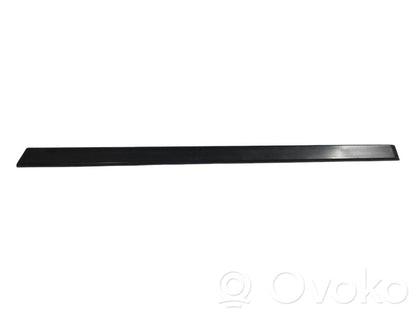 Aizmugurē durvju dekoratīvā apdare (moldings)