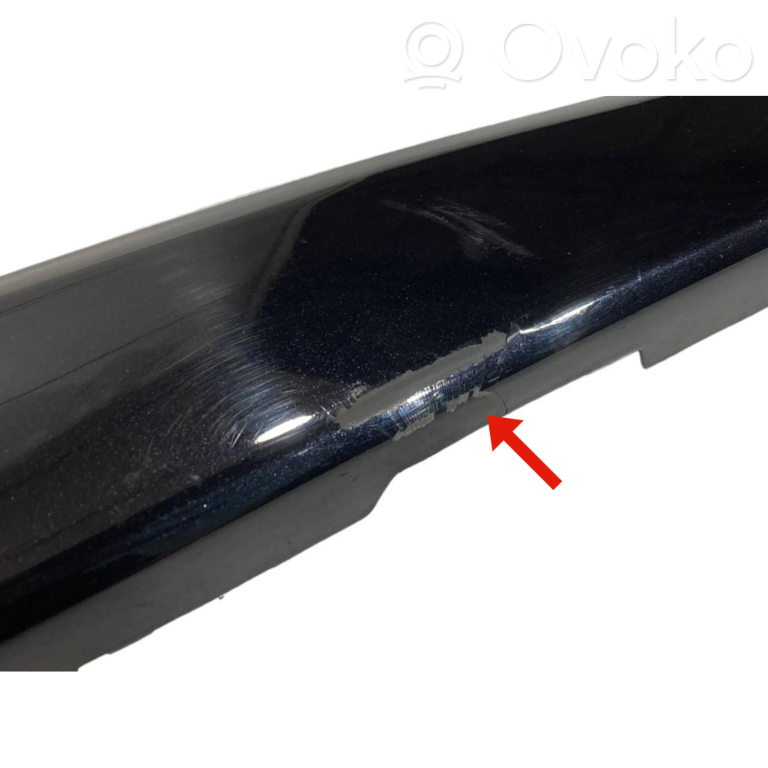 Decorative bumper trim at the front