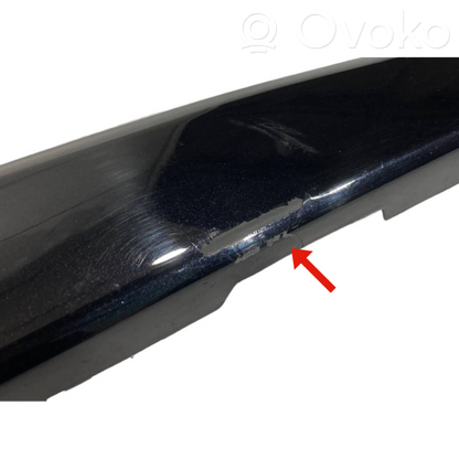 Decorative bumper trim at the front