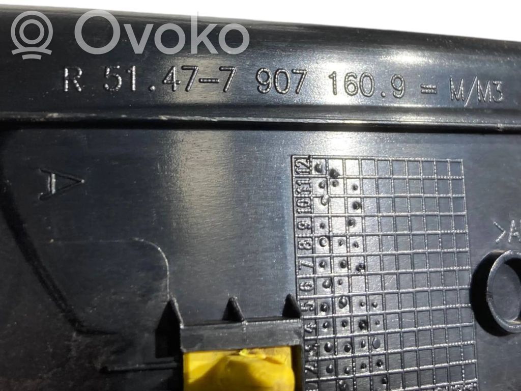 Rear door sill trim (inner)