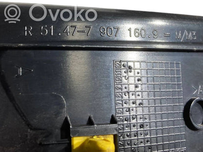 Rear door sill trim (inner)