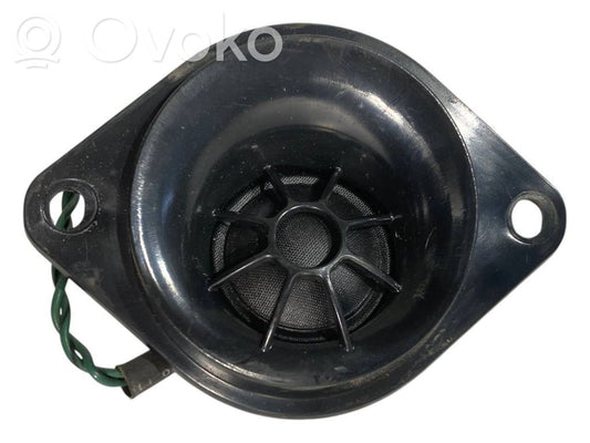 Speaker(s) in front door