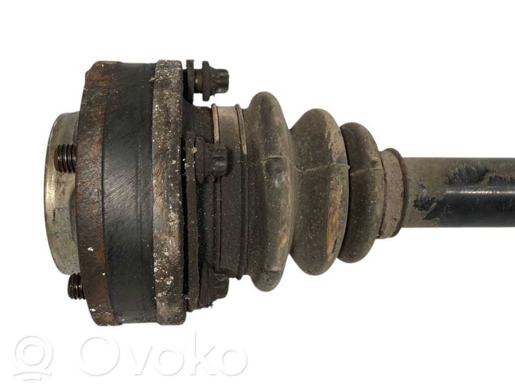 Aizmugurējā pusass