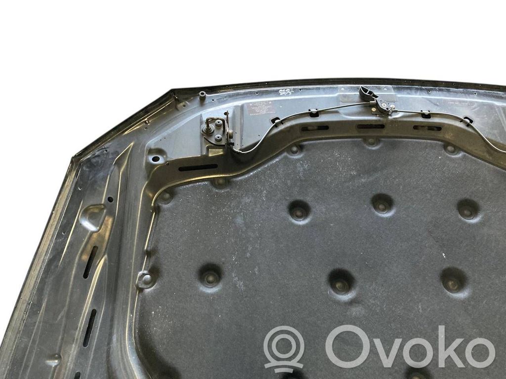 Dzinēja pārsegs (vāks)