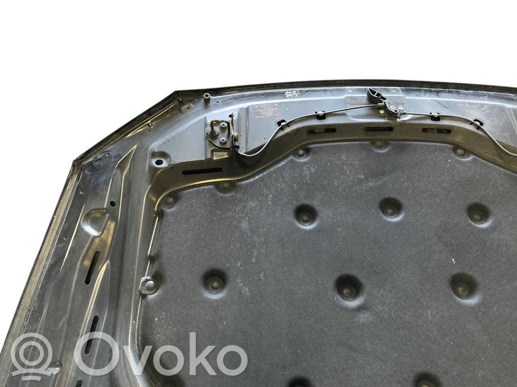 Dzinēja pārsegs (vāks)