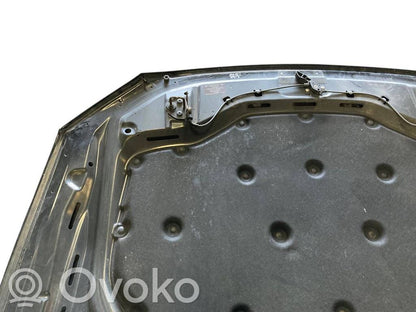 Dzinēja pārsegs (vāks)