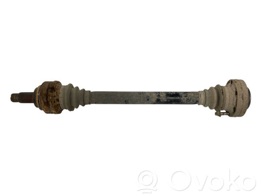 Aizmugurējā pusass