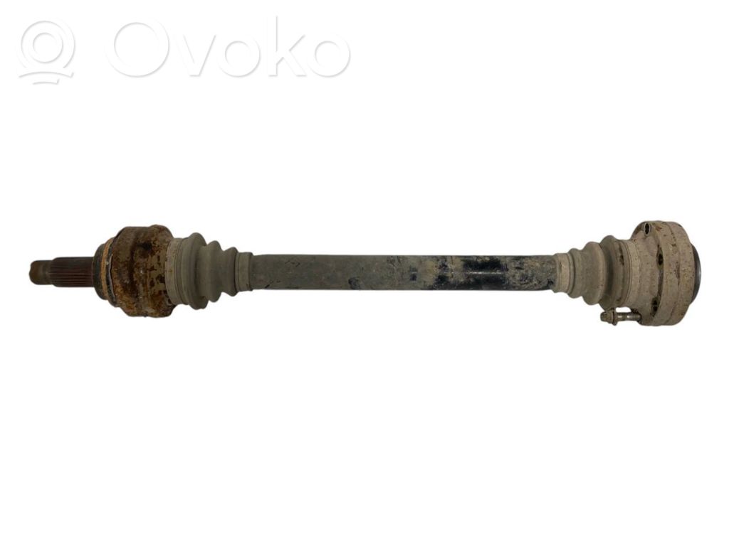 Aizmugurējā pusass