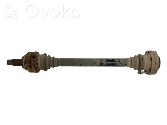 Aizmugurējā pusass