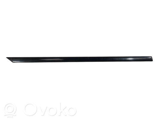 Aizmugurē durvju dekoratīvā apdare (moldings)
