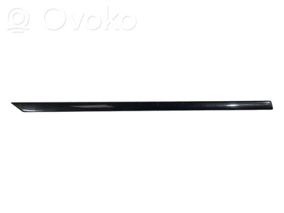 Aizmugurē durvju dekoratīvā apdare (moldings)