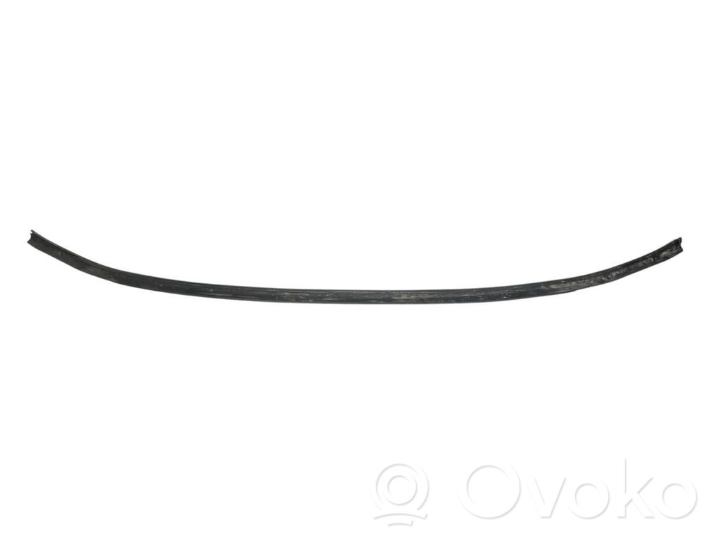 Dzinēja nodalījuma gumija