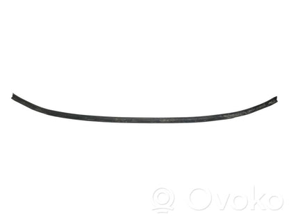 Dzinēja nodalījuma gumija