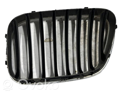 Priekšējais režģis