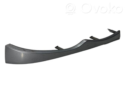 Priekšējā luktura dekoratīvā apdare