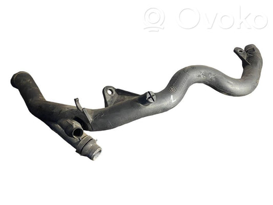 Caurulīte (-es) / šļūtene (-es)